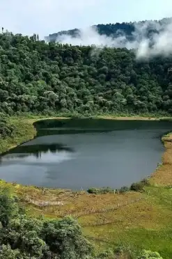 khecheoplari