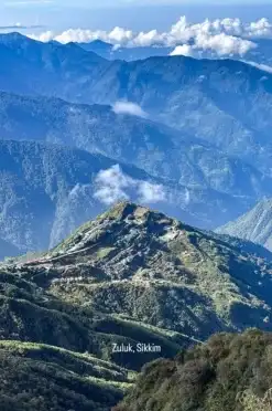 zuluk